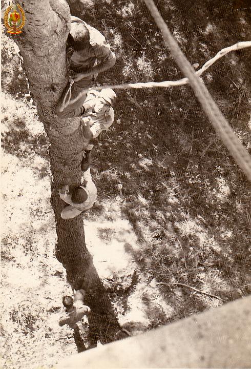Evasion y Escape11.jpg